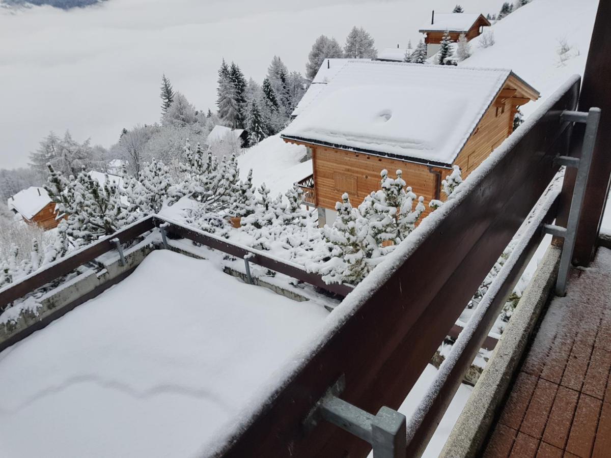 Les Collons1800- Bel Appart 2Pieces-4 Pers-Piscine-Sauna-Parking Int-Wifi Gratuit Vex Exteriör bild